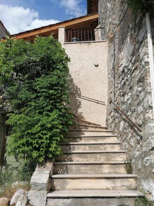La Maison De La Vigne Bauduen Exteriör bild